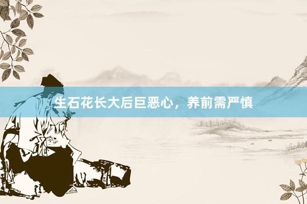 生石花长大后巨恶心，养前需严慎