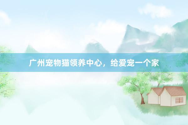 广州宠物猫领养中心，给爱宠一个家