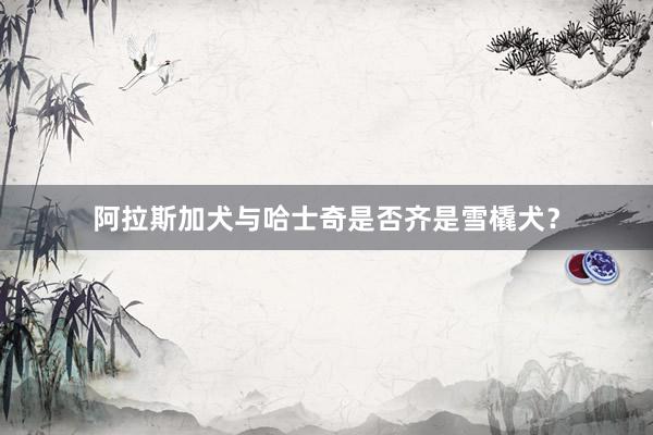 阿拉斯加犬与哈士奇是否齐是雪橇犬？