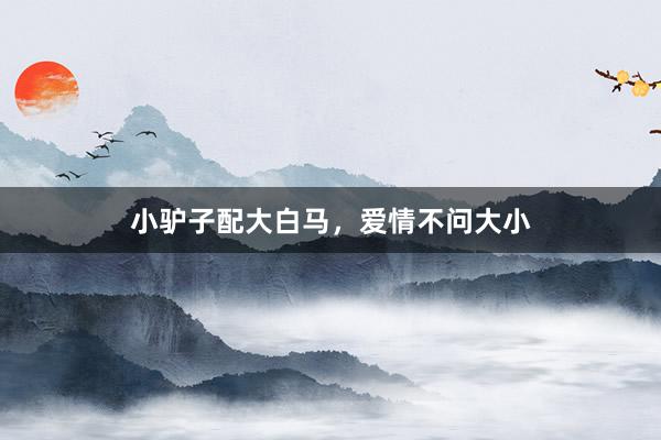 小驴子配大白马，爱情不问大小